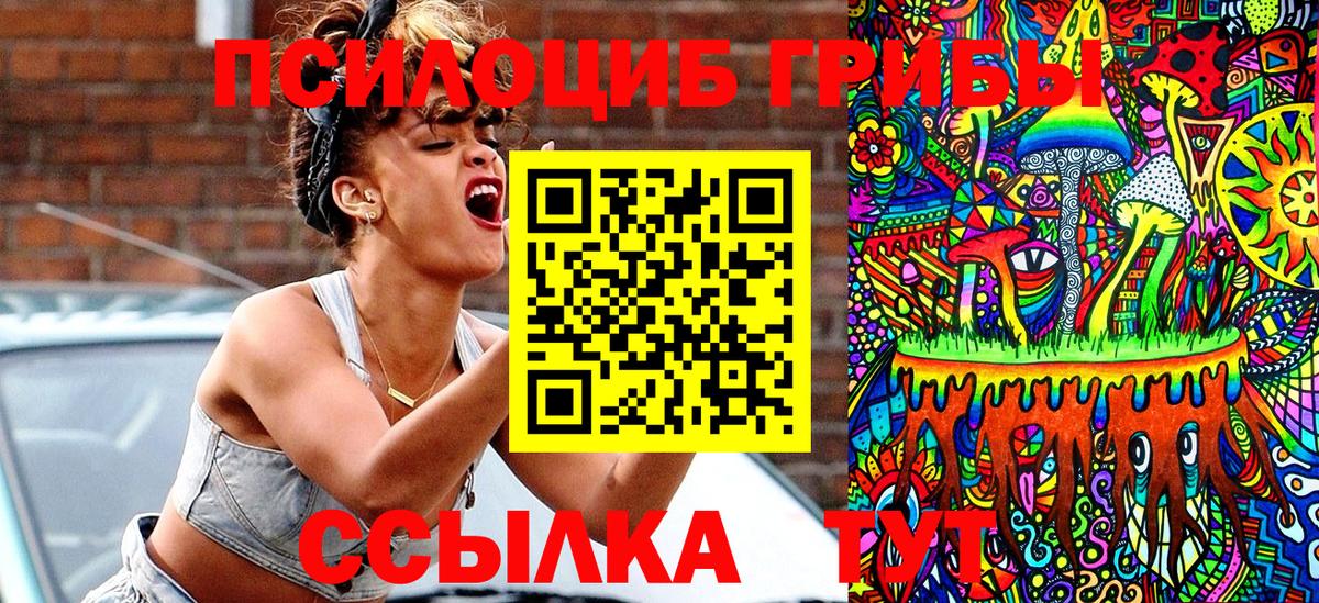 Сургут  Галлюциногенные грибы Psilocybe  Вход с VPN 
