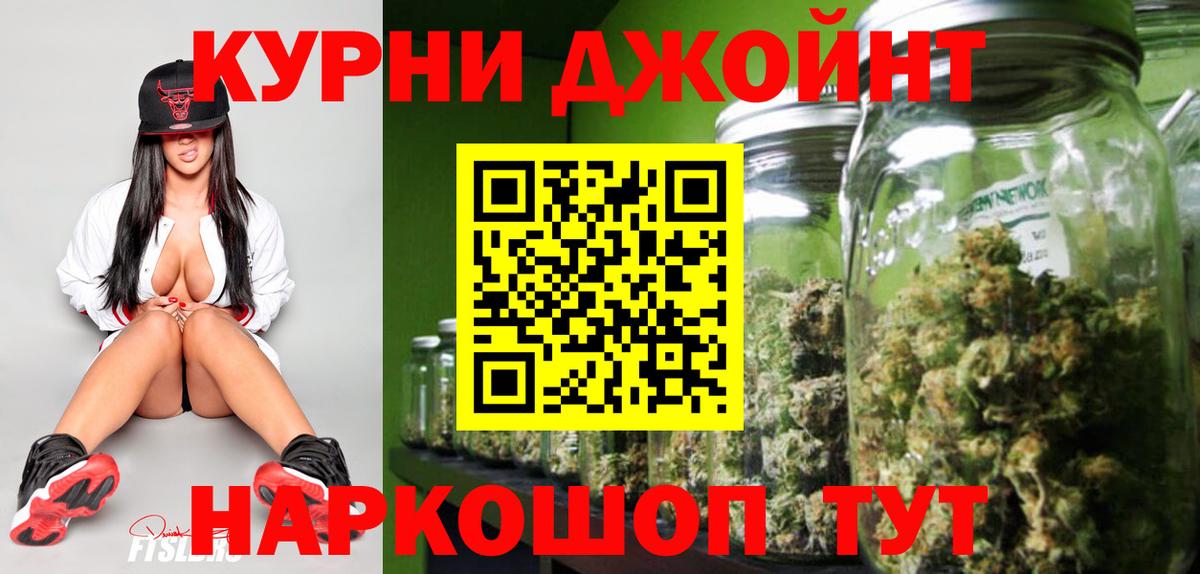 Конопля гибрид Сургут